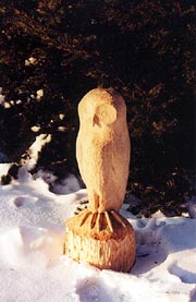Chainsaw carved owl