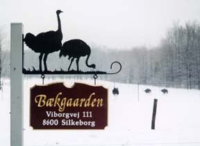 Baekgaarden Ostrich sign